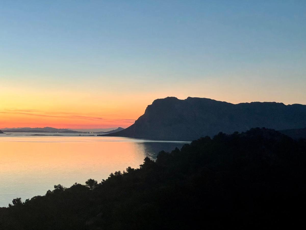 Apartamento San Teodoro Punta Est Fantastico Trilocale Vista Mare Capo Coda Cavallo Exterior foto